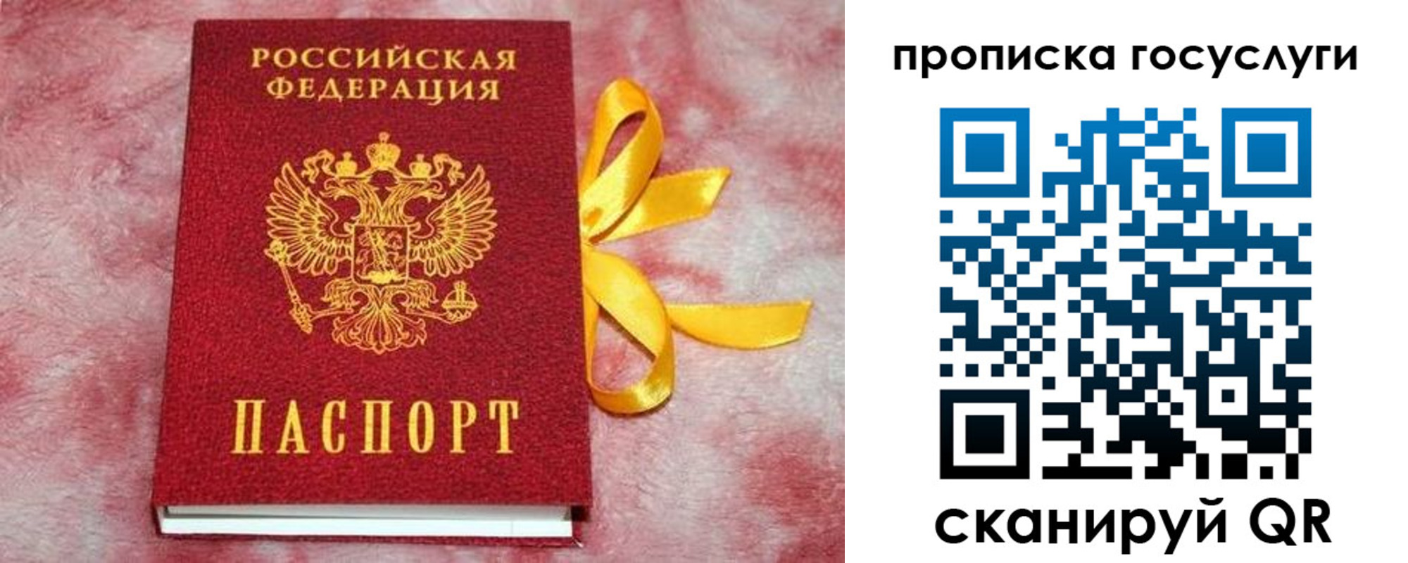 регистрация в Красном Куте
